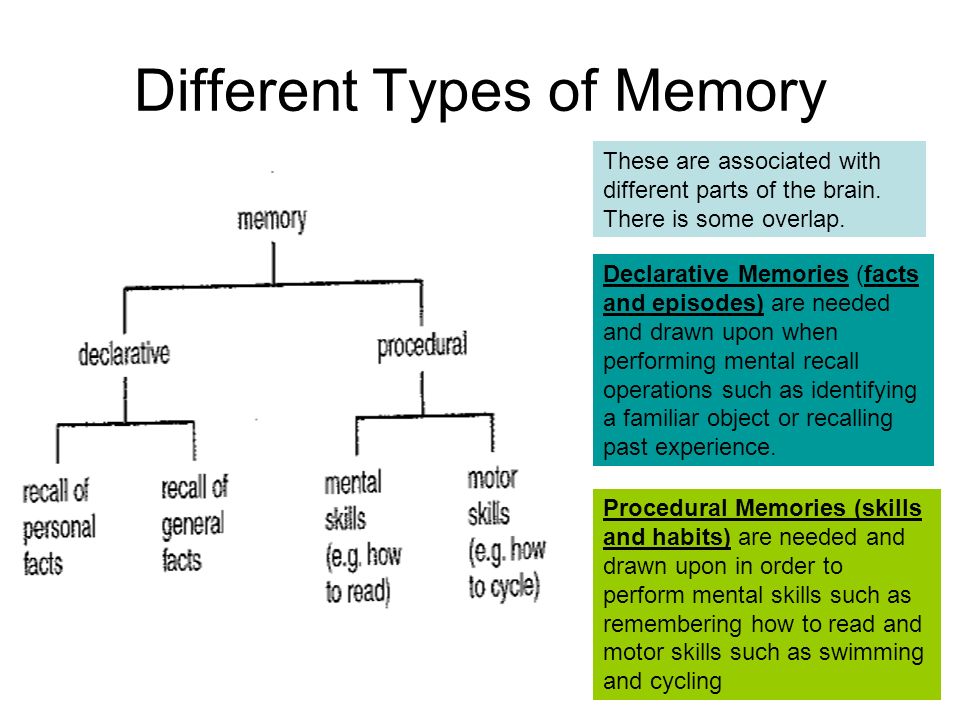 Understanding how memory works and its different types